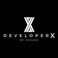 Developer X