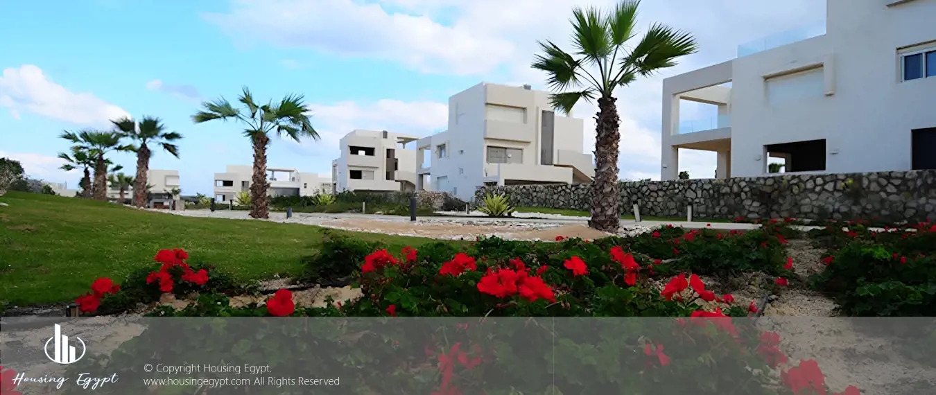 Hacienda White