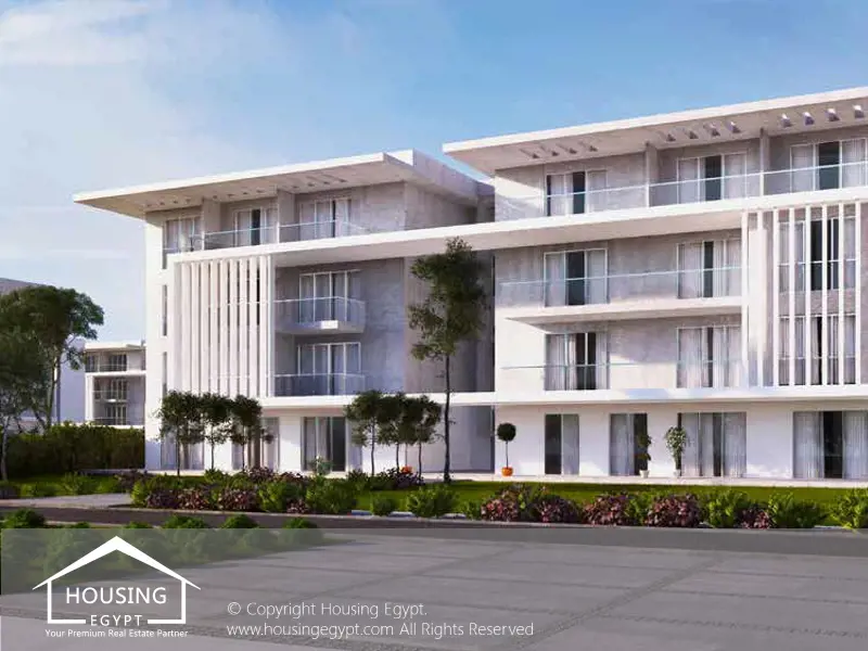 The Peak - Joulz - Cairo Alexandria Desert Road