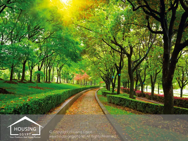 Palm Hills New Cairo Phase 3 - Palm Hills New Cairo - 5th Settlement