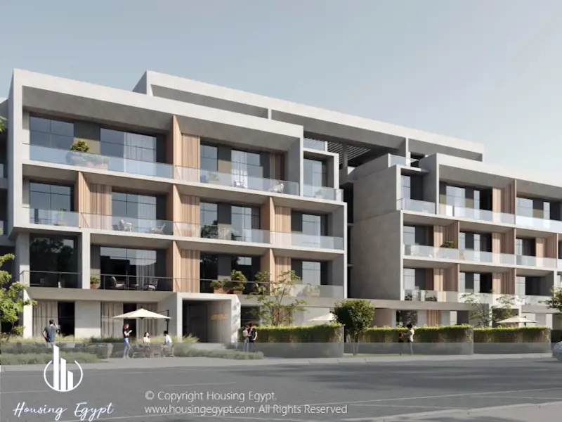 Mist - 5th Settlement