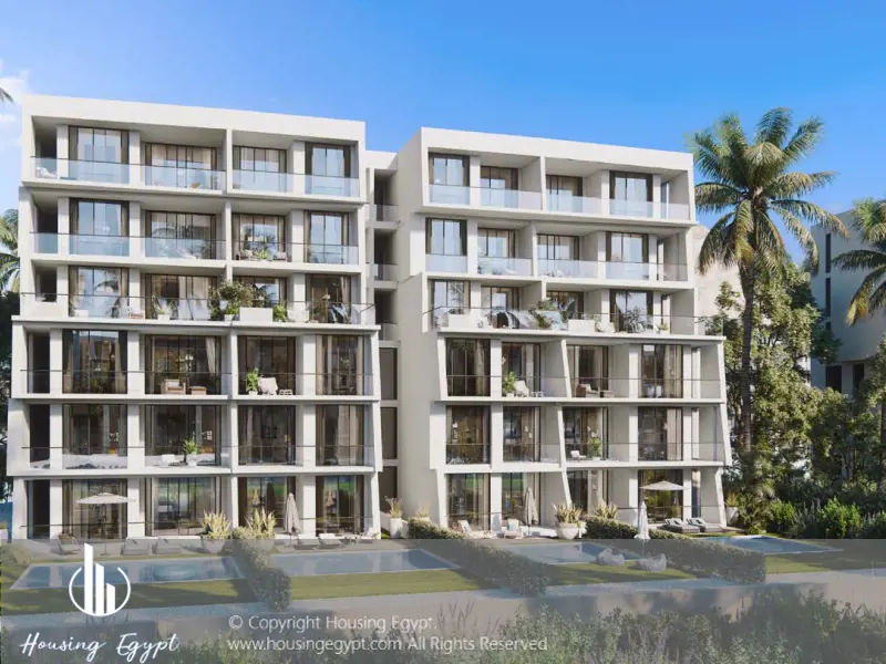 Carnelia - El Galala Mountain