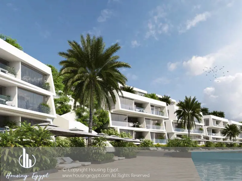 Carnelia - El Galala Mountain