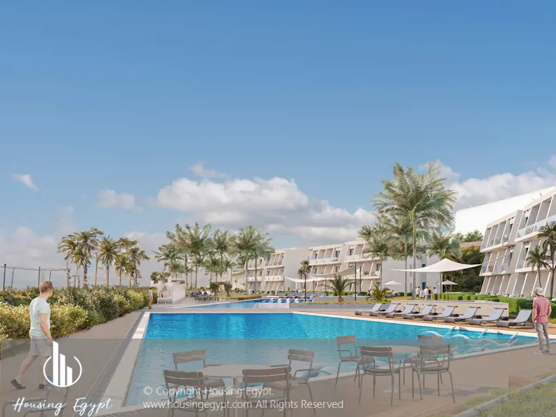 Carnelia - El Galala Mountain