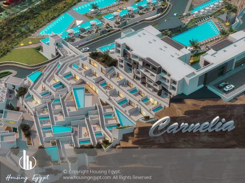 Carnelia - El Galala Mountain