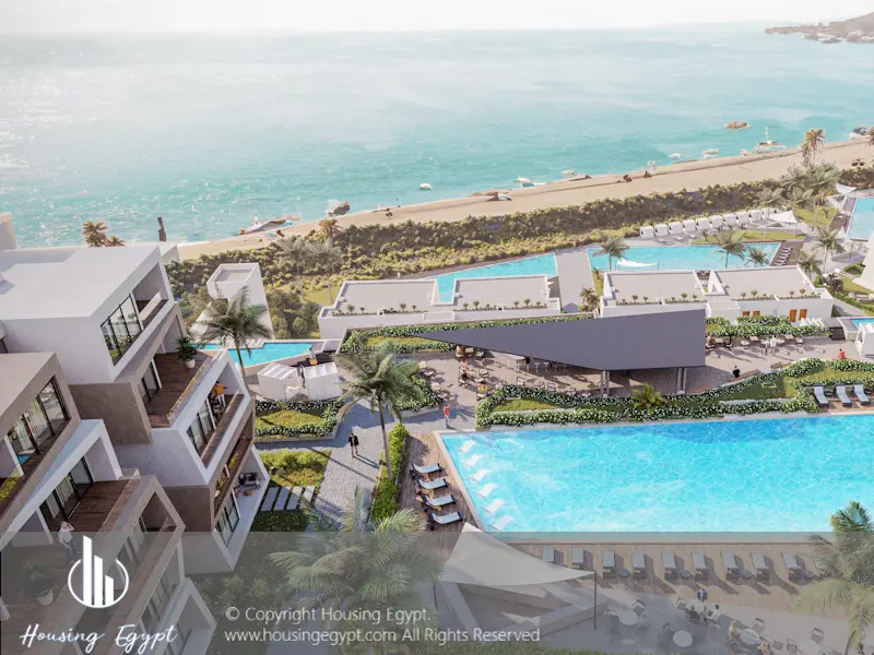 Carnelia - El Galala Mountain