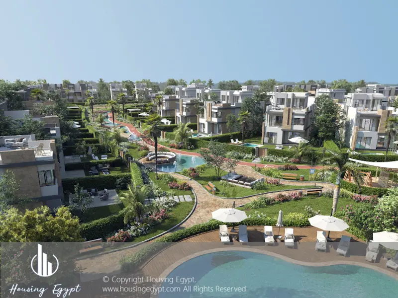 Tawny - 6th Of October