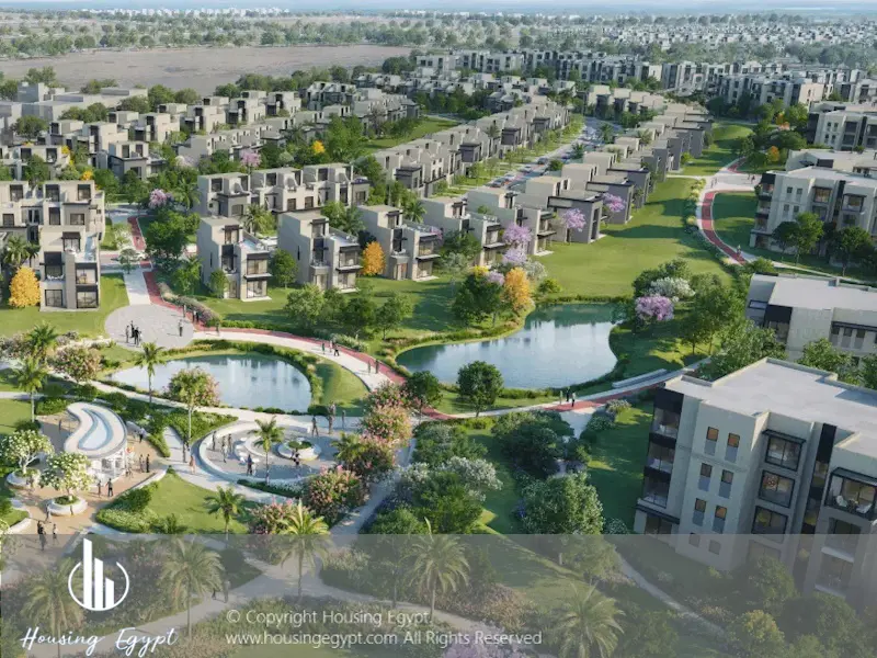 Signature - 6th Of October