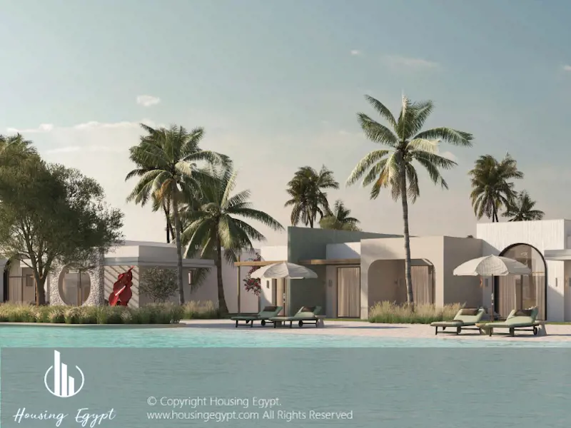 The Gray  - The Med - Ras El Hekma