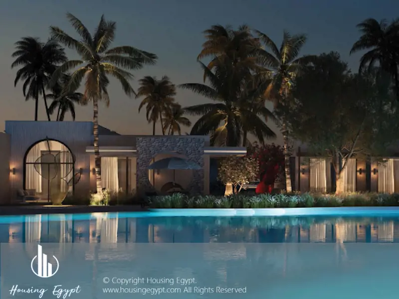 The Gray  - The Med - Ras El Hekma