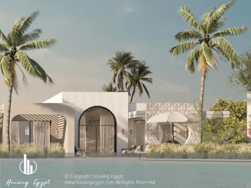 The Gray  - The Med - Ras El Hekma