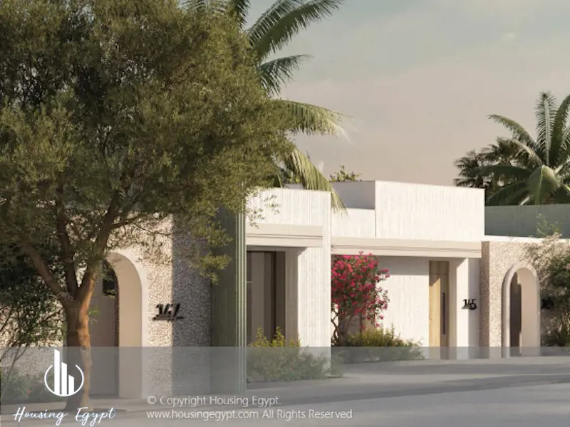 The Gray  - The Med - Ras El Hekma