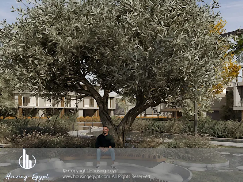 RED - Mostakbal City