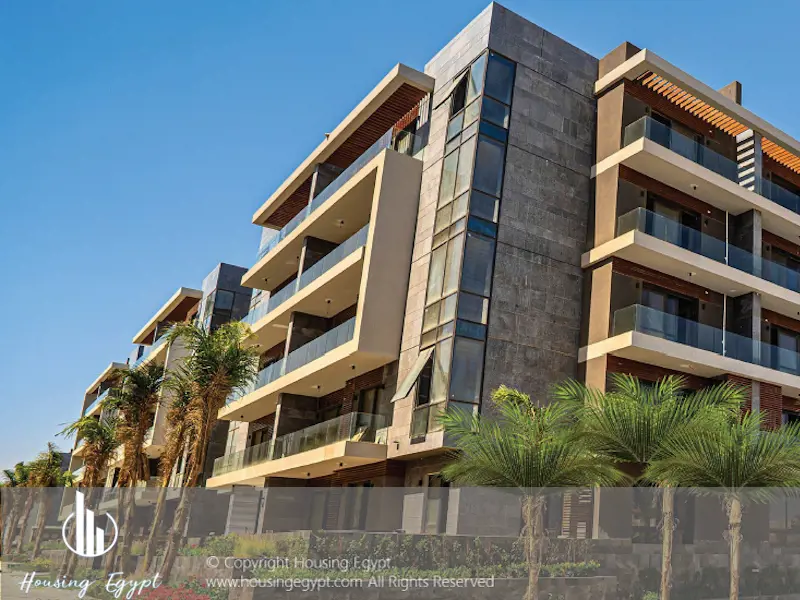 EL Patio ORO - 5th Settlement