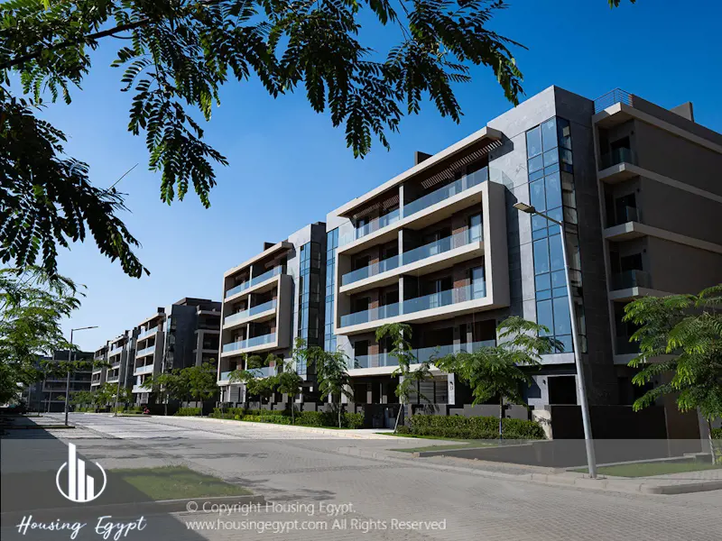 EL Patio ORO - 5th Settlement