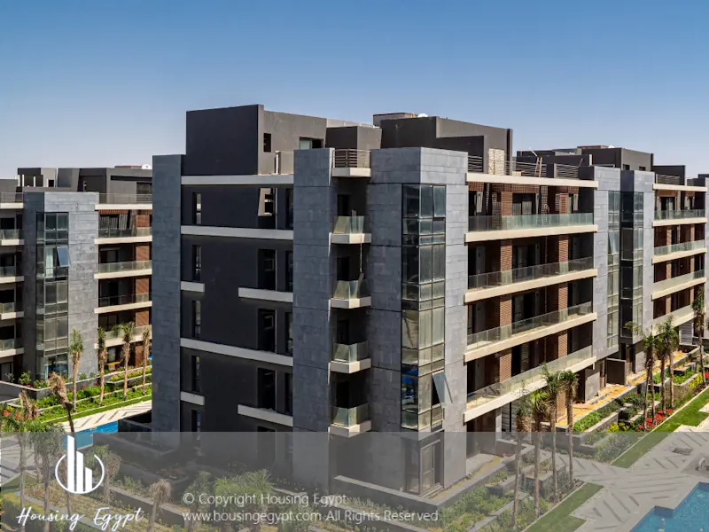 EL Patio ORO - 5th Settlement