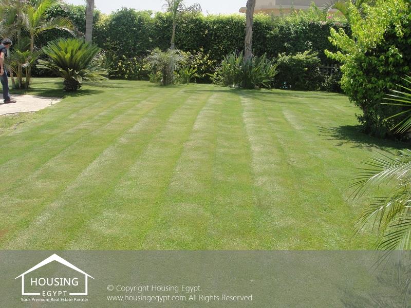 Katameya Heights - 5th Settlement