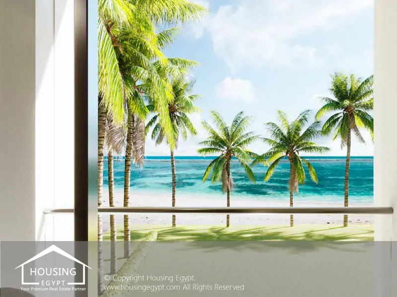 Vye - El Galala Mountain