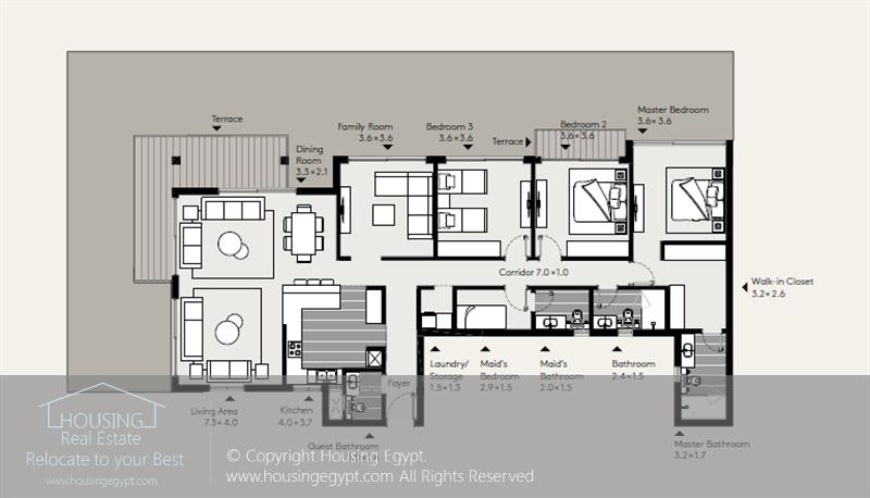 Layouts