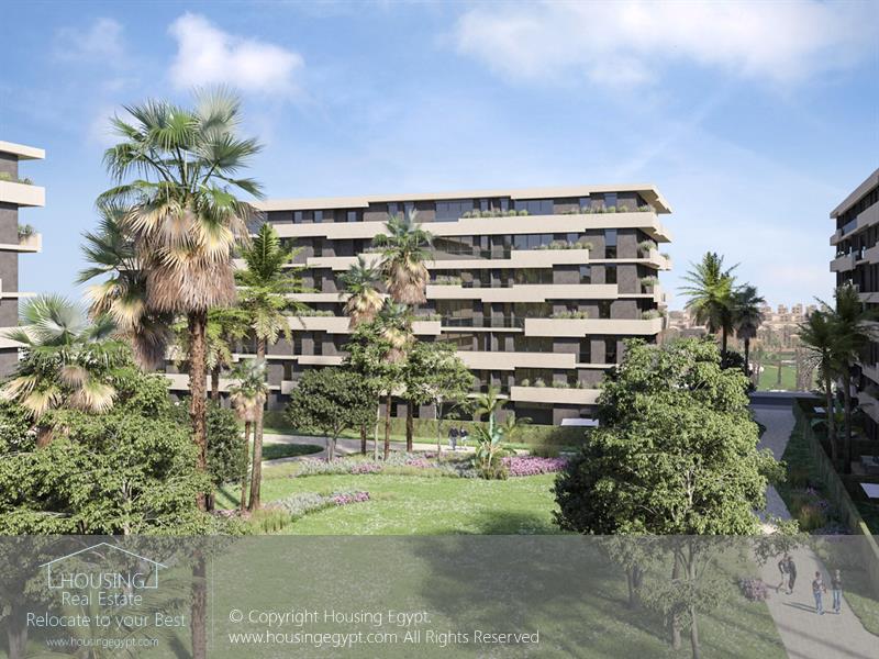 Orion - Alborouj - Alborouj