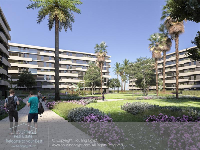 Orion - Alborouj - Alborouj