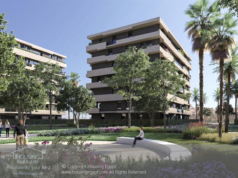 Orion - Alborouj - Alborouj