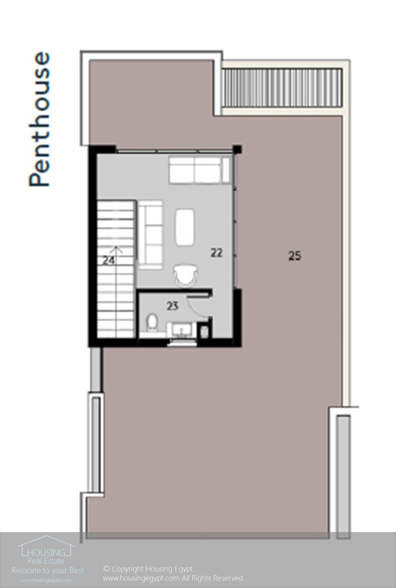 Layouts