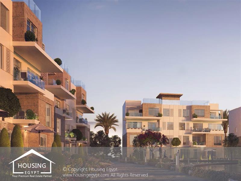 Vida - Cairo Alexandria Desert Road