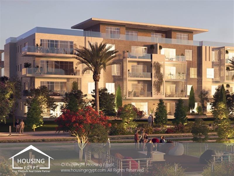 Vida - Cairo Alexandria Desert Road