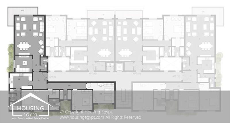 Layouts