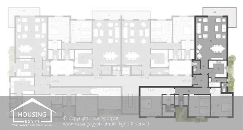 Layouts