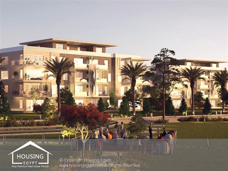 Vida - Cairo Alexandria Desert Road