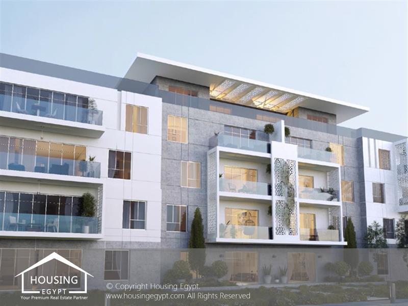 Vida - Cairo Alexandria Desert Road